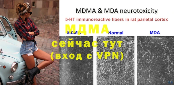mdpv Гусев