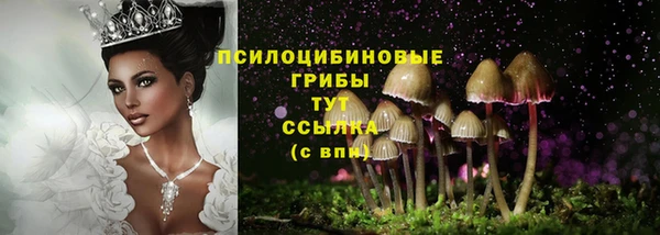 альфа пвп Гусь-Хрустальный