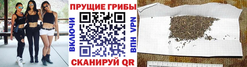 Купить где  Ачхой-Мартан  Псилоцибиновые грибы мухоморы 